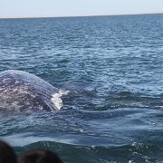 IMG 0001 2 (52)